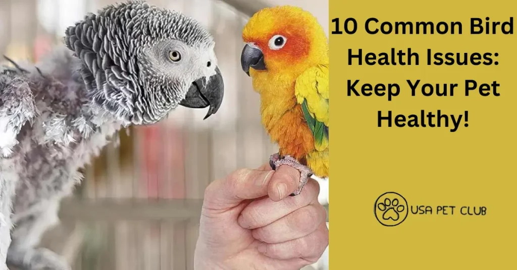 Birds can suffer from various health issues such as salmonella, avian conjunctivitis, bird mites, and Pacheco’s disease. Improper diet, inadequate upkeep and hygiene, stress, and genetics can lead to bird illness.