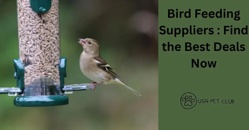 Bird Feeding Suppliers Find the Best Deals Now