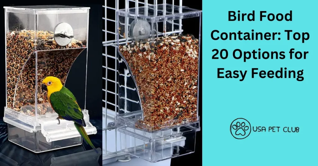 Bird Food Container Top 20 Options for Easy Feeding