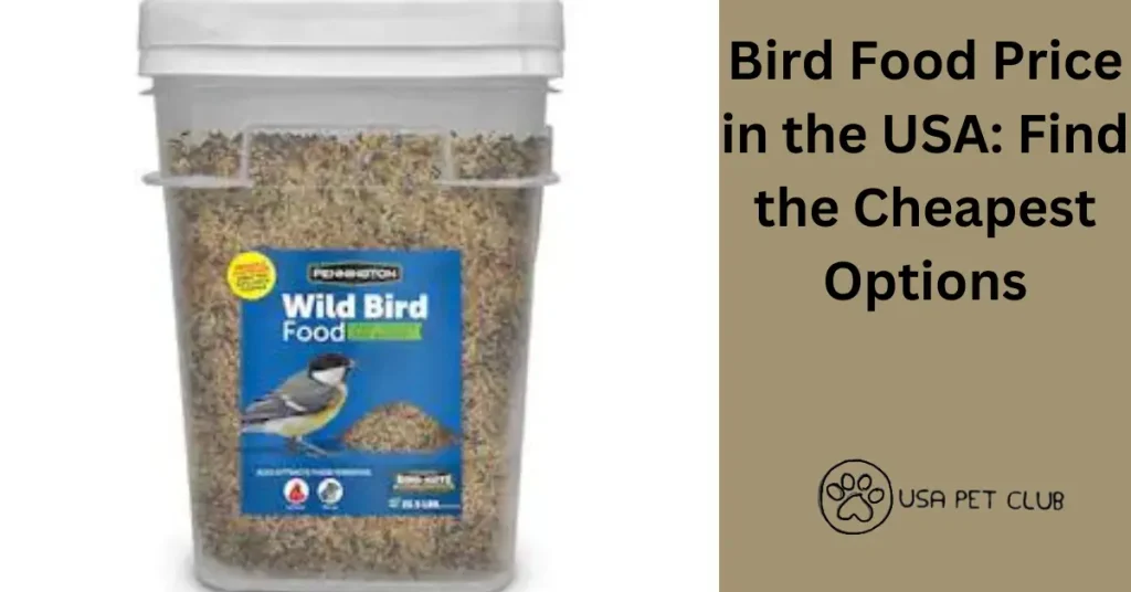 Bird Food Price in the USA: Find the Cheapest Options