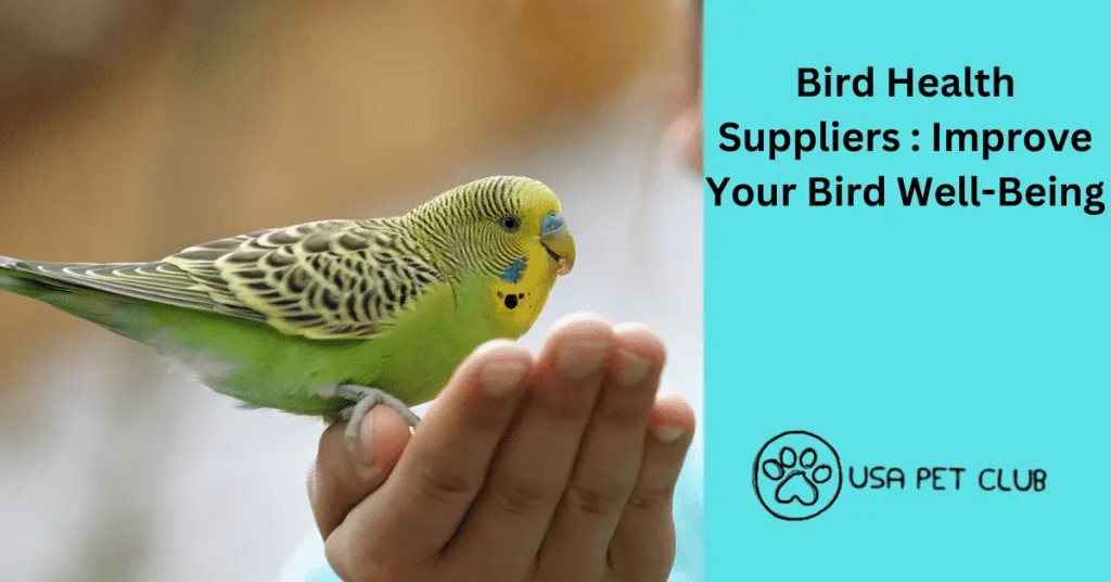 Bird Health Suppliers Improve Your Bird Well-Being