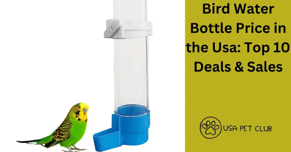 Bird Water Bottle Price in the Usa Top 10 Deals & Sales