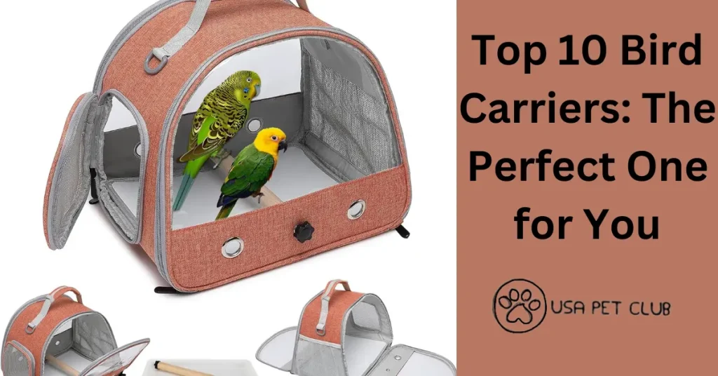 Top 10 Bird Carriers The Perfect One for You