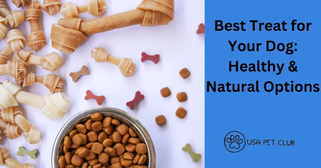 Best Treat for Your Dog: Healthy & Natural Options