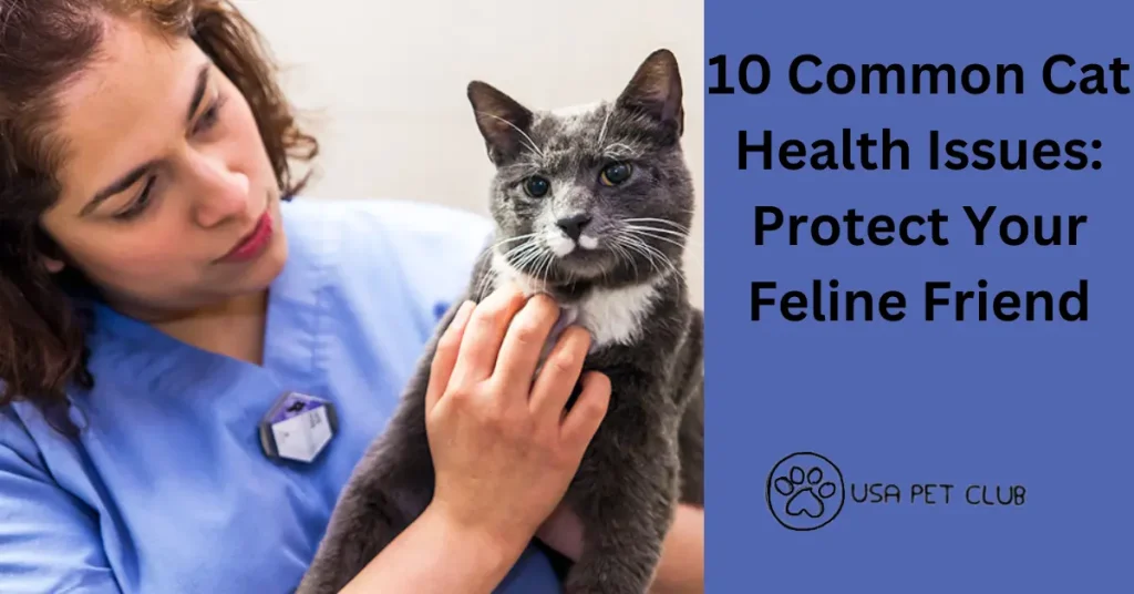 10 Common Cat Health Issues: Protect Your Feline Friend